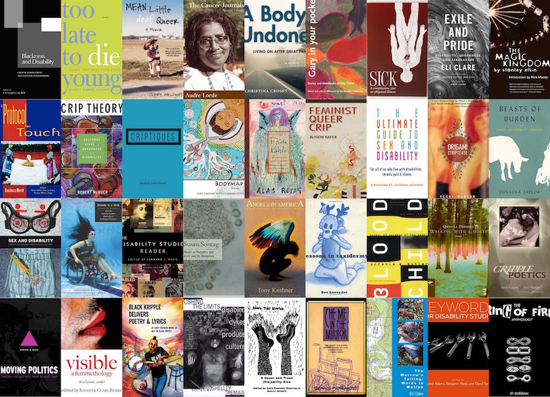 A series of book covers from Tovah Leibowitz's queer crip syllabus on autostraddle.