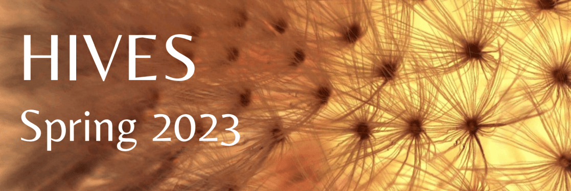 A closeup of dandelion seeds are illuminated with a gentle yellow-orange light. Over the image are superimposed the words "HIVES Spring 2023: flows in and between neurodivergence, madness, and disability"