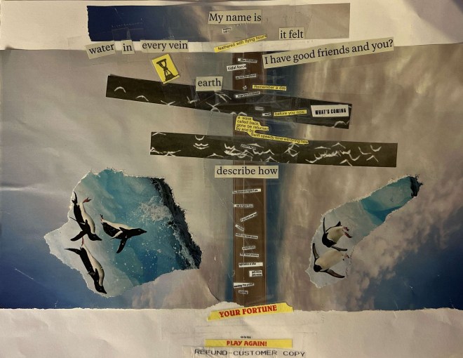 This collage poem layers text from a fortune card, a receipt, a National geographic, and a pill bottle with images of penguins and sky. 

My name is
breathing body
water in every vein	
feathered with flying hours 
	it felt
other information
tidal force
I have good friends and you?
earth
	use more than directed
	slur	Remember a day
	longer than directed
increase
expect 	before you now WHAT’S COMING	
a wave called back
gone be returned
by and by,
Swift speedy time will bring new

pretend in the pain	

describe how
“the chances are higher if you
risk is higher if you
if you have ever had
a doctor
which may cause severe
complications
may cause problems 
right before or after
	gets worse
	gets worse
warning: This product 
warning:
YOUR FORTUNE
can be fatal
PLAY AGAIN!
REFUND–CUSTOMER COPY
